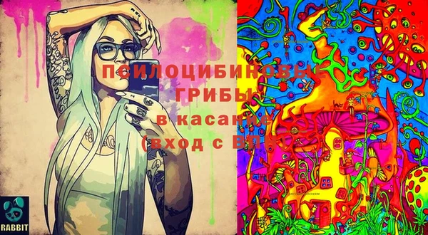 MDMA Михайловка