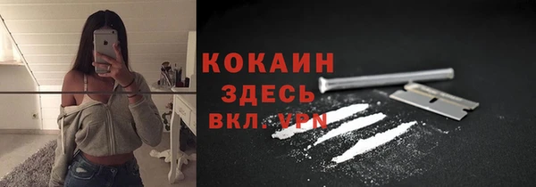 твердый Михайловск