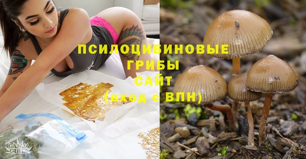 твердый Михайловск