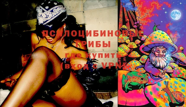 твердый Михайловск