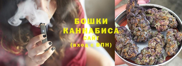 твердый Михайловск