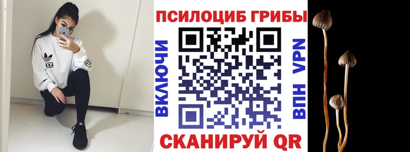 Псилоцибиновые грибы MAGIC MUSHROOMS Островной